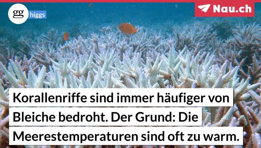 screenteaser-fur-artikel
