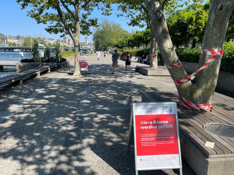 Die Tafeln sind auf der Seepromenade am rechten Ufer des Zürichsees aufgestellt.