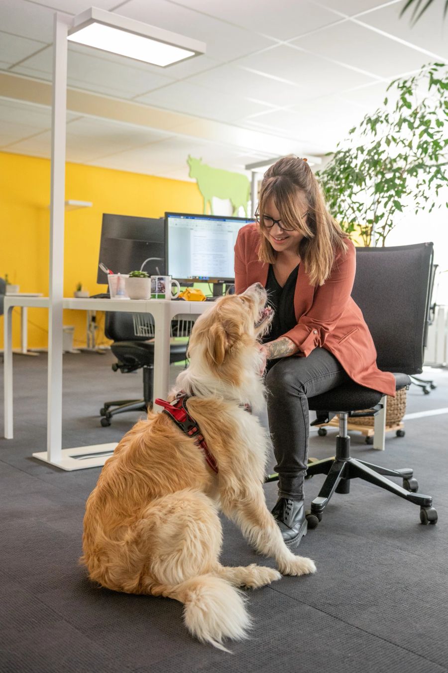 Frau mit Hund