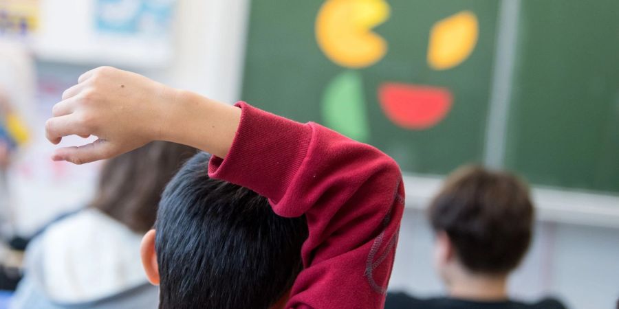 Bei der Pisa-Schuluntersuchung gab es die grösste Steigerung beim Schriftverstehen bei 15-jährigen Migrantenkindern nach den USA in Deutschland.