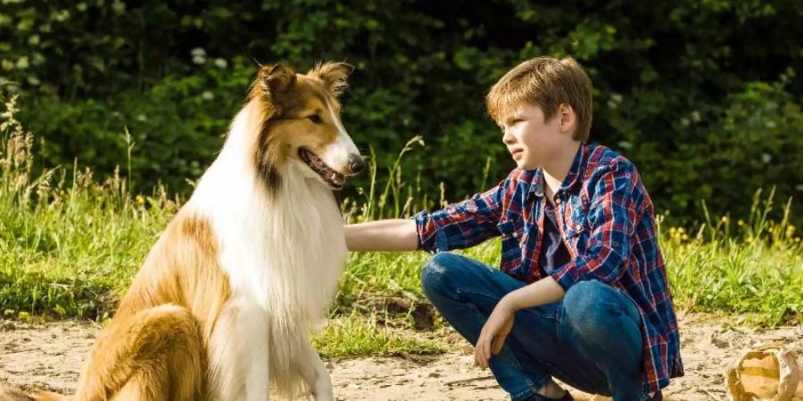 Nico Marischka als Flo in einer Szene des Films "Lassie - Eine abenteuerliche Reise". Foto: -/Warner Bros. GmbH/dpa