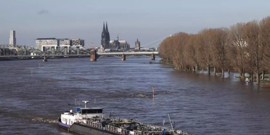 Nach kräftigen Regenfällen steigen die Pegelstände des Rheins weiter an. Foto: Oliver Berg/dpa