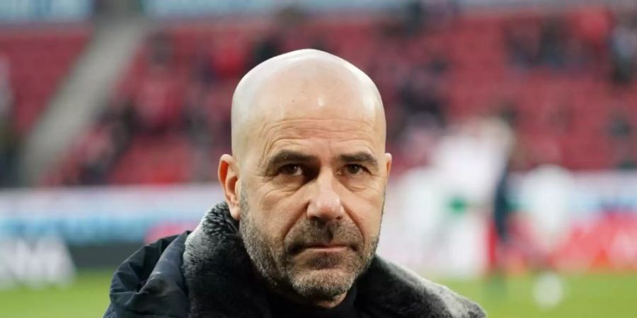 Soll seinen Vertrag in Leverkusen verlängern: Trainer Peter Bosz. Foto: Thomas Frey/dpa