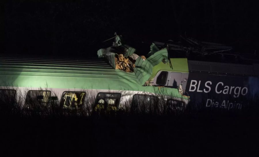 Der Güterzug der BLS hatte Lastwagen geladen.