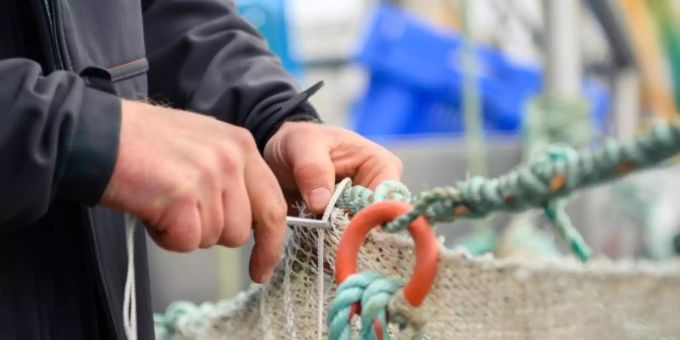 Werden die überfischten Weltmeere nicht bald geschont, droht ein Kollaps der Fischbestände. Foto: Mohssen Assanimoghaddam/dpa Werden die überfischten Weltmeere nicht bald geschont, droht ein Kollaps der Fischbestände. Foto: Mohssen Assanimoghaddam/dpa