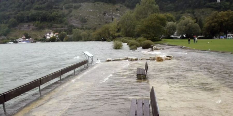 Das Ufer des Bielersees im August 2007: Solche Verhältnisse wie damals oder wie zwei Jahre zuvor könnten laut dem Kanton Bern auch dieses Jahr herrschen.