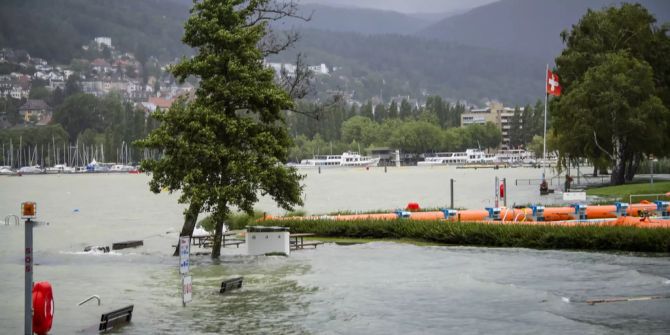 bielersee