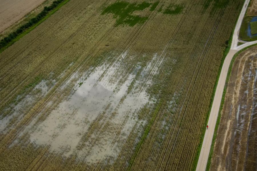 Mücken Wetter Regen Wasser