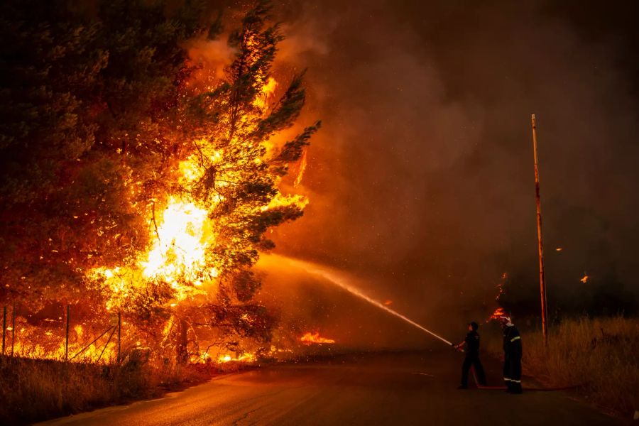 Feuerwehrleute bekämpfen einen Waldbrand in einem Waldgebiet nördlich von Athen.