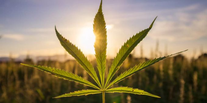 CBD bringt natürliche Entspannung und Schmerzlinderung. CBD Stress nervöse Augen