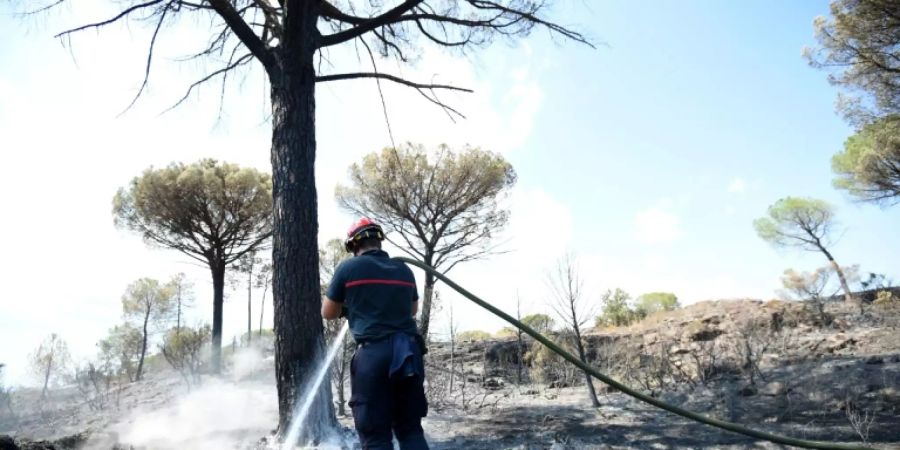 Ein Feuerwehrmann im Hinterland von Saint-Tropez