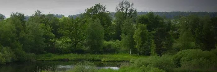 Sensebezirk