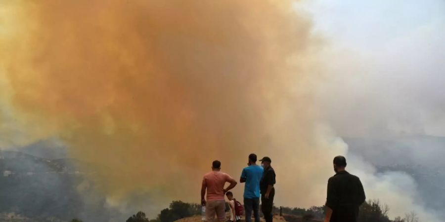 Waldbrände wüten in Algerien