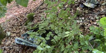 Unfall