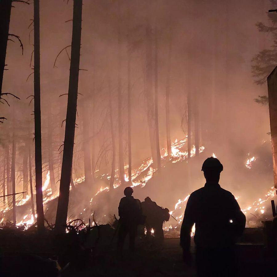 In den USA kämpft die Feuerwehr derzeit mit der Waldbrandsaison.