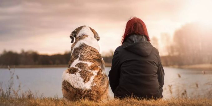 Hunde kennen Menschen wohl besser als gedacht. hund
