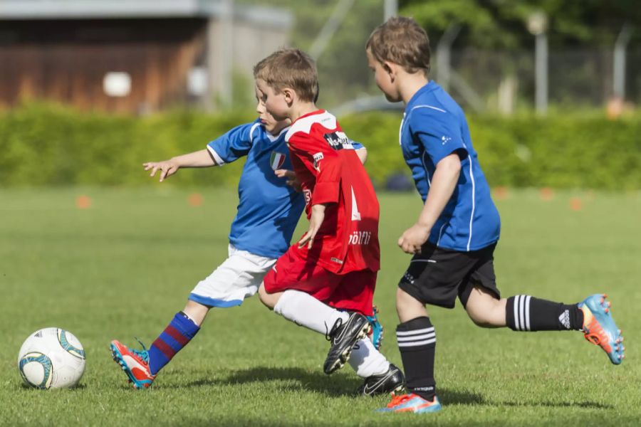 junioren fc wyler bern