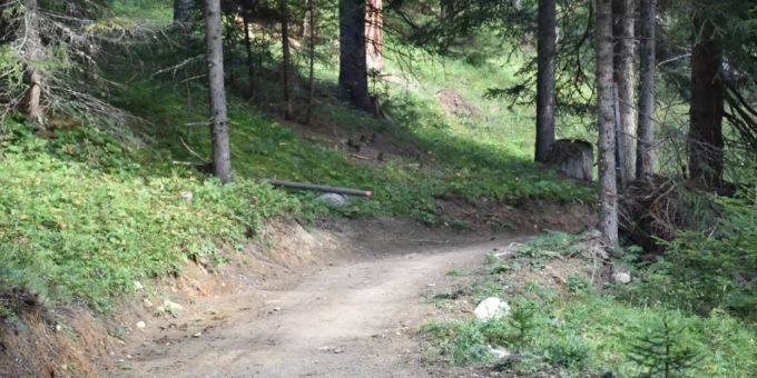 Auf diesem Weg sah der Jäger einen Rehbock, im Wald erschoss er aber ein Pferd. Tödlicher Irrtum.