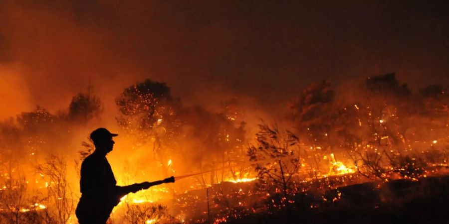 In Nea Makri nordöstlich von Athen ist erneut ein Waldbrand ausgebrochen. (Archivbild)