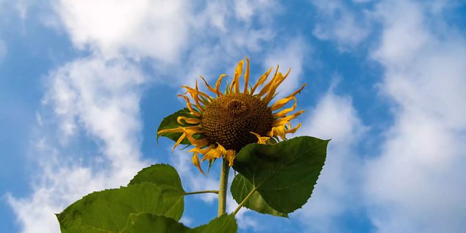 Rekordsonniger September nach nassem und kühlem Sommer. (Symbolbild) Rekordsonniger September nach nassem und kühlem Sommer. (Symbolbild)