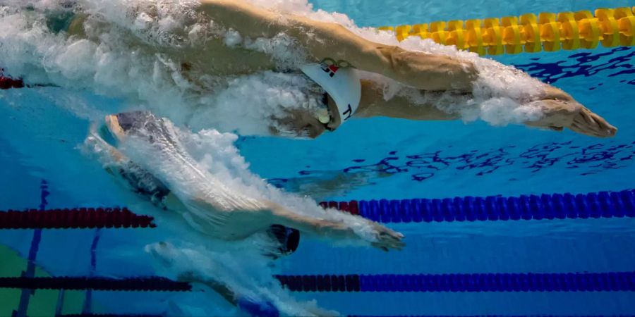 Schwimmclub Uster Wallisellen