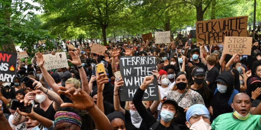 Demonstranten in Washington