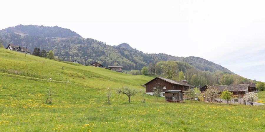 Einfahrt vor Schübelbach in Reichenburg.