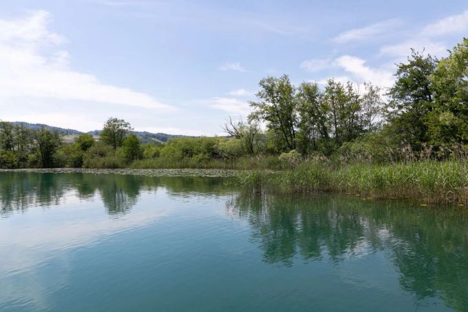 Hallwilersee, Seengen