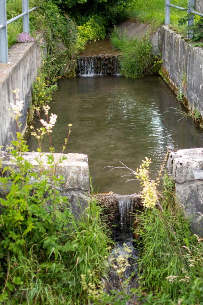 Ein kleiner Bach in Oberkulm.