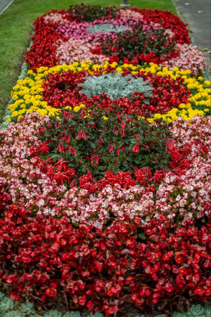 Ein Blumenbeet neben dem Teufenthaler Schulhaus.