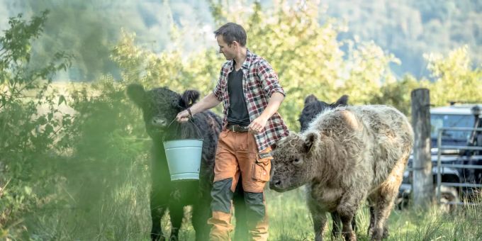 Jonathan Kobel mit seinen Galloway-Rindern. Kobelhof Rubigen