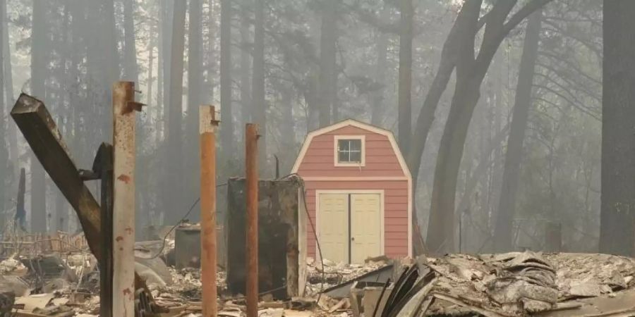 Ein ausgebranntes Fahrzeug und Trümmer nach den Waldbränden in Paradise. Foto: Barbara Munker/dpa