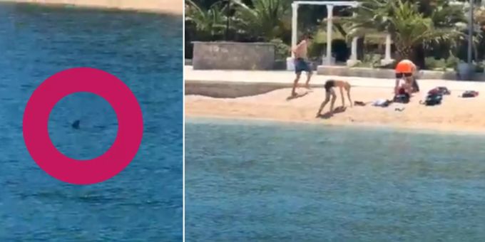 Badestrand in Dubrovnik wegen Hai-Alarm geschlossen. hai