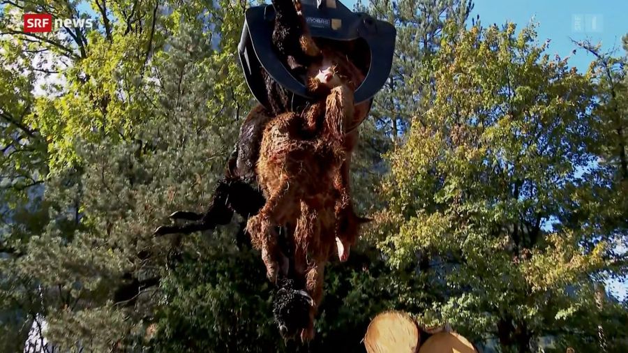 Am Montagmorgen holte der Kadaver-Entsorger die toten Tiere auf dem Hof der Familie ab.