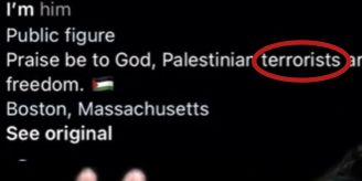 Insta-Fehler - Auf Palästinenser-Profilen steht plötzlich «Terrorist»