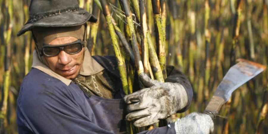 Ein Arbeiter bei der Zuckerrohr-Ernte in Batatais in Brasilien. (Archivbild)