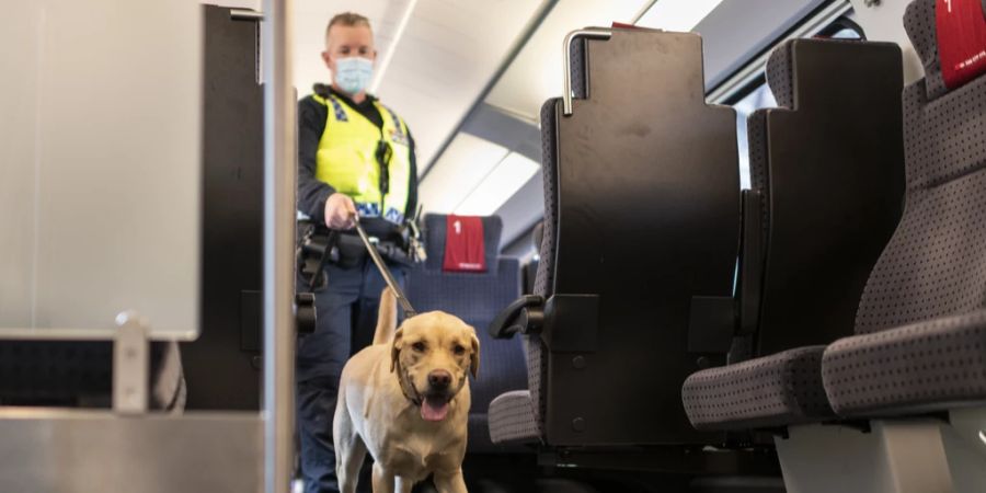 Obschon die SBB vor Dieben in Zügen warnt, lassen einige Pendler ihre Wertsachen unbeaufsichtigt.