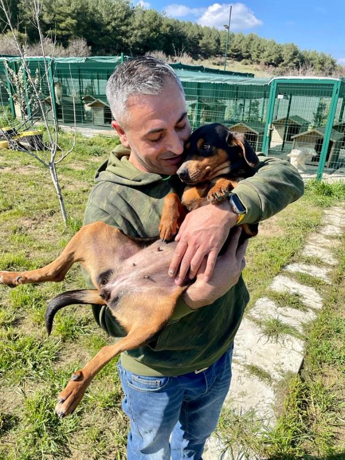 Memo Ulas hat zusammen mit seiner Partnerin einen Verein gegründet, um verletzten Hunden eine zweite Chance zu geben. hunde