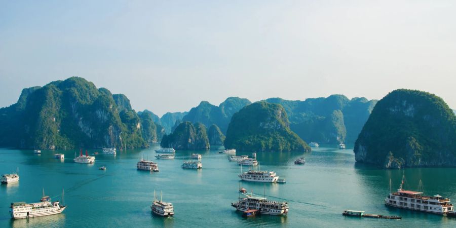 Halong Bay Vietnam mit vielen Tourisgtenbooten.