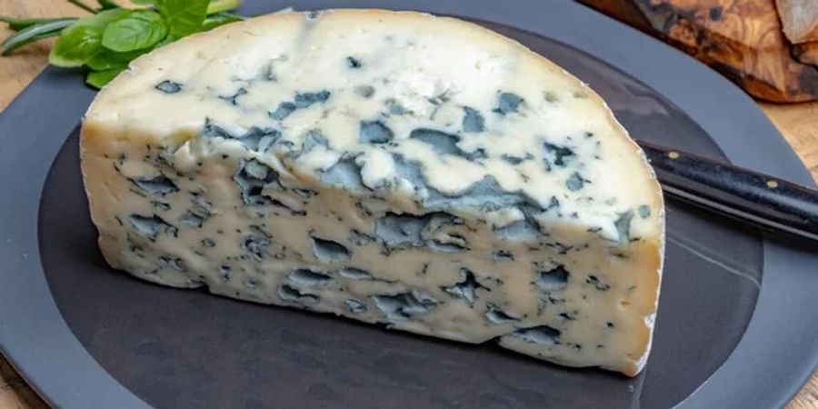 Blauschimmelkäse