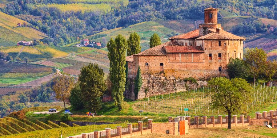 Weinberge Italien mit Weingut.