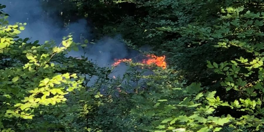 Der Brand im Menzlenwald.