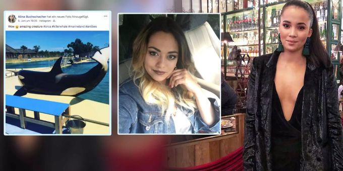 Whitney vs. Alina - Missen-Zoff um dieses Orca-Foto