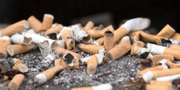 Reste von gerauchten Zigaretten liegen in einem Aschenbecher.