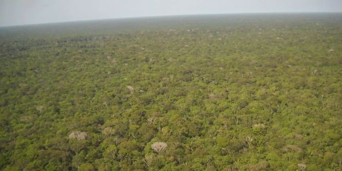 Der Amazonas-Regenwald in Brasilien reicht bis an den Horizont.