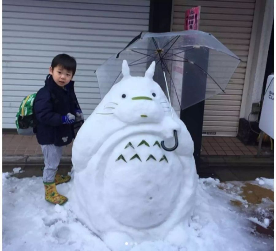 Hier wurde Totoro aus dem japanischen Anime-Film «Mein Nachbar Totoro» nachgebaut.