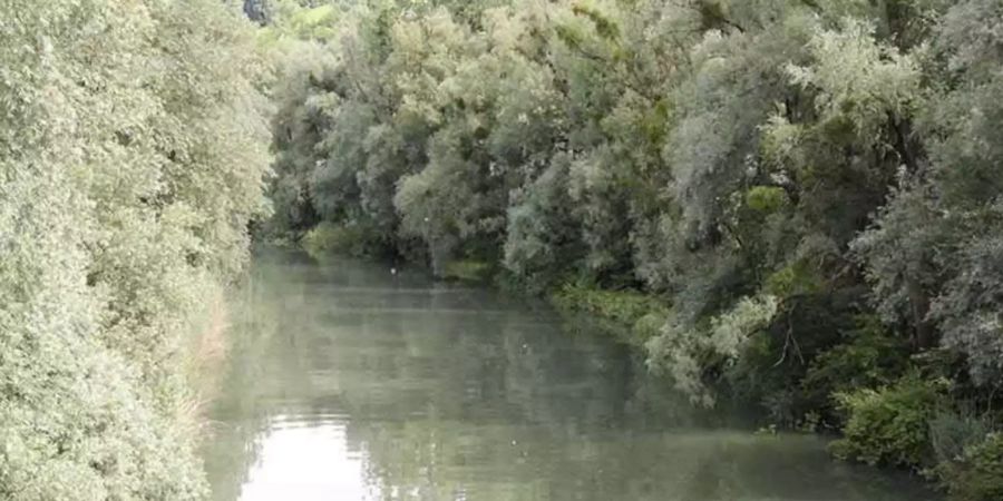 Die Farben harmonieren mit jenen der Auengehölze, die am Alten Rhein wachsen - Gemeinde St.Margrethen