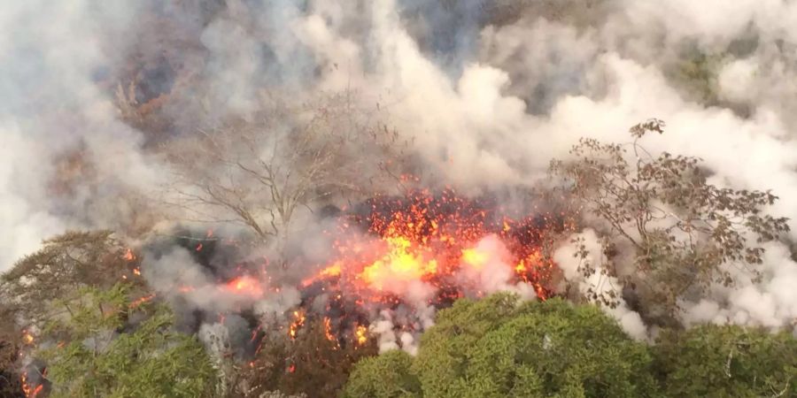 Lava fliesst aus aktiven Spalten des Kilauea.