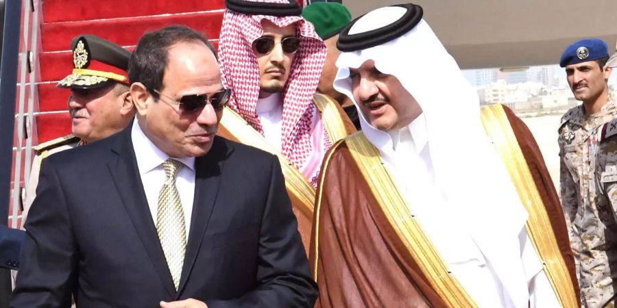 Die Arabische Liga fordert eine Untersuchung gegen Israel in Bezug auf auf die Gewalt am Gazastreifen.