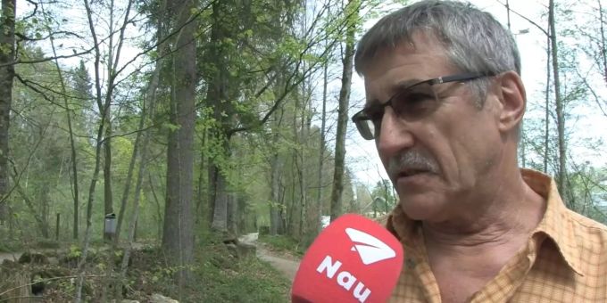 Waldbrandgefahr in der Schweiz - Experte warnt: «Die meisten Brände entstehen bei mittlerer Gefahrenstufe»